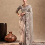 Silver Grey Celeste Saree Set