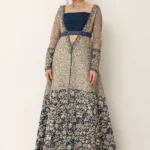 Embellished Net and Silk Traditional Ensemble