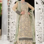 Silver-Embellished Long Net Shirt with Mint Dupatta Ensemble