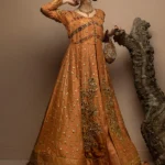 Elegant Silk and Mesuri Peshwas Ensemble