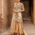 Champagne Net and Jamawar Embellished Sharara Ensemble