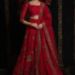 Red Organza Digital Print Embroidered Lehenga Set