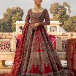 Red Royal Nigarbano Lehenga