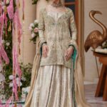 Vyara Luxe Zari Ensemble