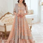 Embellished One-Piece Maxi with Adda Work