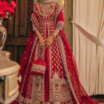 Regal Crimson Architectural Pishwas