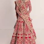 Regal Cherry Red Raw Silk Bridal Lehenga Set