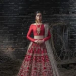 Deep Red Velvet Bridal Lehenga with Mirror and Zardozi Embellishments