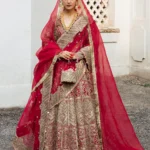 Rosy Red Satin Silk Lehenga with Embellished Organza Choli