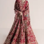 Blood Red Raw Silk Bridal Lehenga Choli with Handcrafted Embellishments