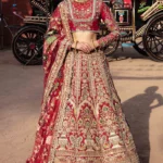Ruby Red Raw Silk Bridal Lehenga Choli with Zardozi Handwork