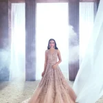 Champagne Glow Net Bridal Ensemble