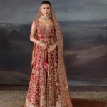 Classic Red Khaddi Silk Sharara Ensemble with Tissue Dupatta