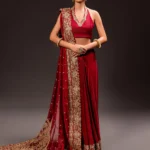 Rangrez Deep Red Organza Sari Ensemble