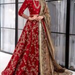 Deep Red Bridal Lehenga Choli with Zardozi & Gold Tissue Dupatta