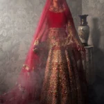 Radiant Red Bridal Lehenga Choli with Handcrafted Elegance