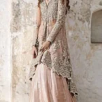Blush Beige Embellished Long Shirt with Flared Skirt