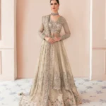 Silver Whisper Jamawar Lehenga Gown