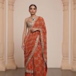 Golden Sunset Embroidered Sari Set