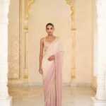 Blush Aura Hand-Embroidered Sari Ensemble