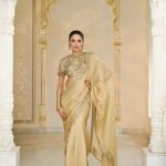 Golden Radiance Hand-Embroidered Sari Ensemble