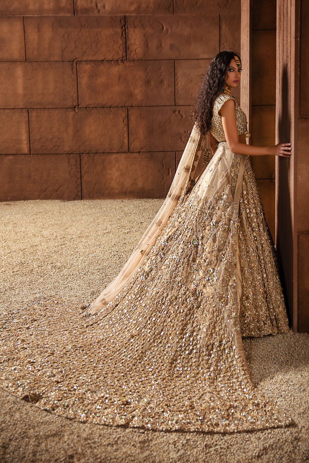 Champagne Gold Bridal Net Ensemble - Image 4