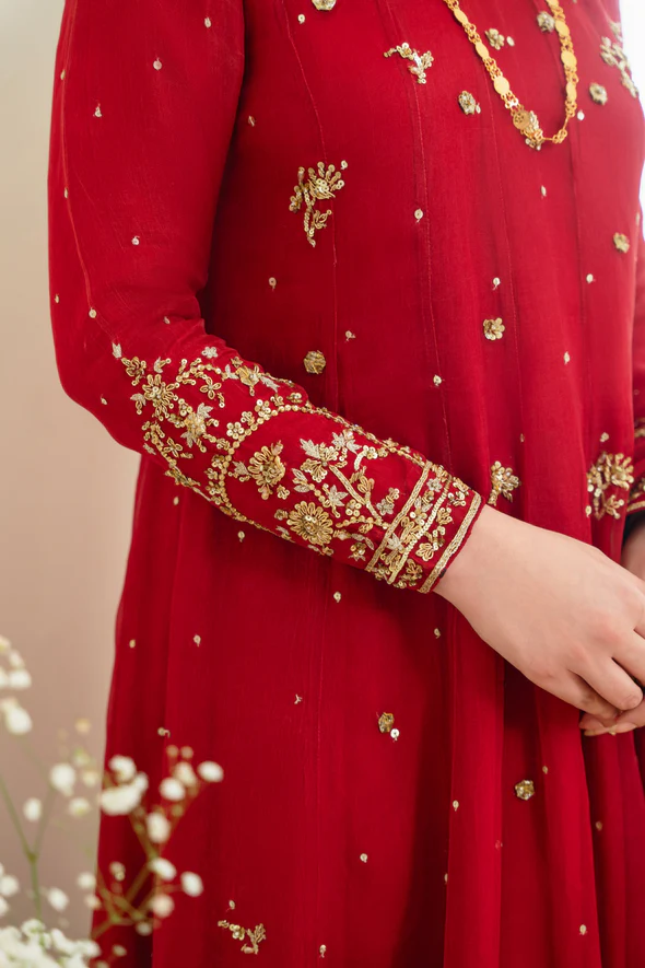 Ethereal Cotton Net Kalidaar Bridal Ensemble - Image 8