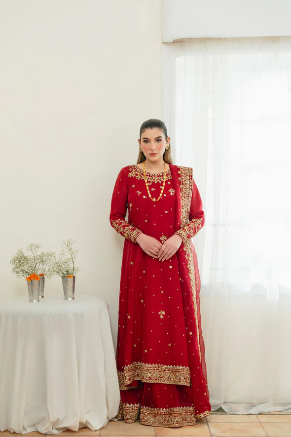 Ethereal Cotton Net Kalidaar Bridal Ensemble - Image 7