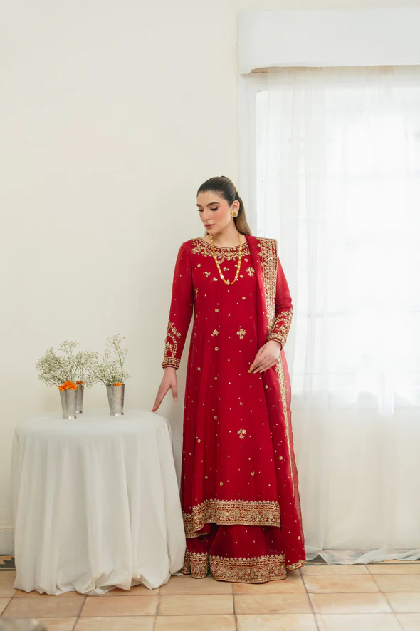 Ethereal Cotton Net Kalidaar Bridal Ensemble - Image 6