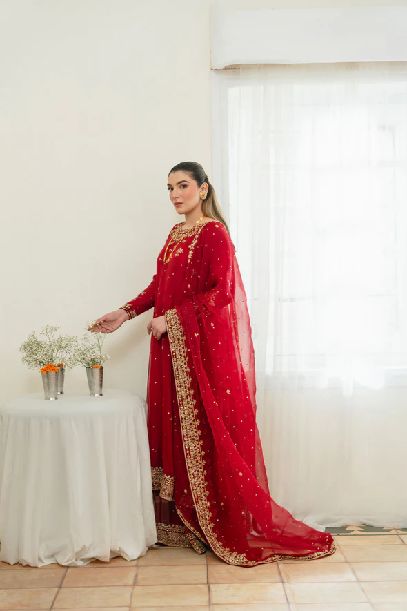 Ethereal Cotton Net Kalidaar Bridal Ensemble - Image 5