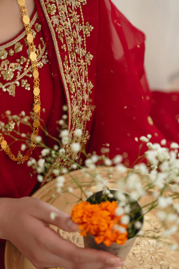 Ethereal Cotton Net Kalidaar Bridal Ensemble - Image 4