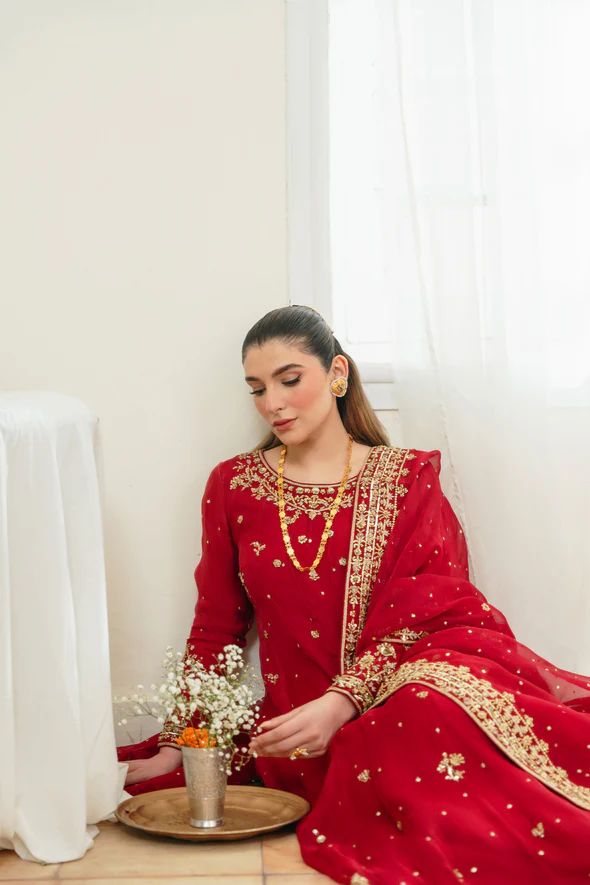 Ethereal Cotton Net Kalidaar Bridal Ensemble - Image 3