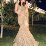 Golden Beige Mirrorwork Sari Set