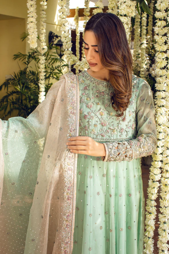 Rimjhim Organza Kalidaar Ensemble - Image 4