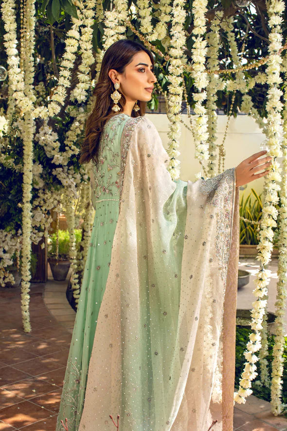 Rimjhim Organza Kalidaar Ensemble - Image 3