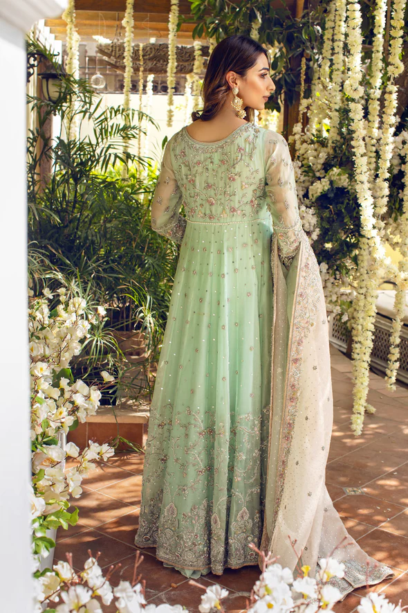 Rimjhim Organza Kalidaar Ensemble - Image 5