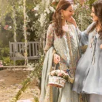 Timeless Grey Organza Ensemble