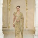 Gilded Radiance Hand-Embroidered Sari Ensemble
