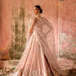 Plum Purple Embellished Lehenga Ensemble