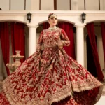 Carmine Red Lehenga Choli with Gold Zardozi Embroidery