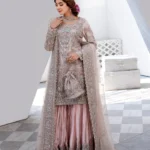 Salmon Pink Organza Shirt with Sheesh Silk Gharara