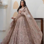 Crystal-Encrusted Tissue Gown with Royal Tulle Dupatta