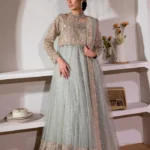 Pastel Green Net Long Dress with Embroidered Chiffon Inner Lehenga