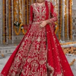 Red Raw Silk Net Bridal Lehenga Choli with Golden Embellishments