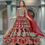 Ruby Red Bridal Lehenga with Antique Gold Zardozi Handwork