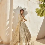 Gilded Moss Heritage Lehenga Ensemble