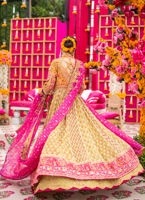 Luxury Yellow & Magenta Kalidaar Bridal Pishwas - Image 3