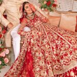 Zardozi Anarkali with Gold-Printed Lehenga & Embellished Dupatta