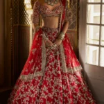 Heritage Crimson Hand-Embellished Bridal Lehenga
