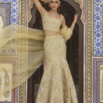 Gilded Radiance Mermaid Lehenga Set